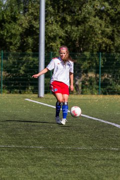 Bild 49 - Frauen HSV - cJun Eintracht Norderstedt : Ergebnis: 1:16